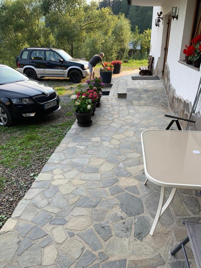 Pensiunea Pietrosul Borşa Exterior foto