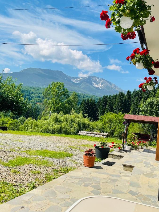 Pensiunea Pietrosul Borşa Exterior foto
