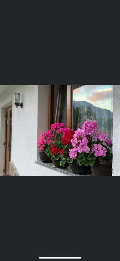 Pensiunea Pietrosul Borşa Exterior foto