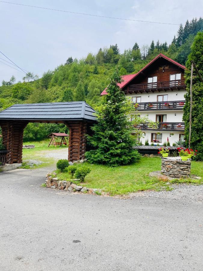Pensiunea Pietrosul Borşa Exterior foto