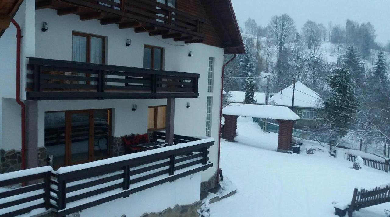 Pensiunea Pietrosul Borşa Exterior foto
